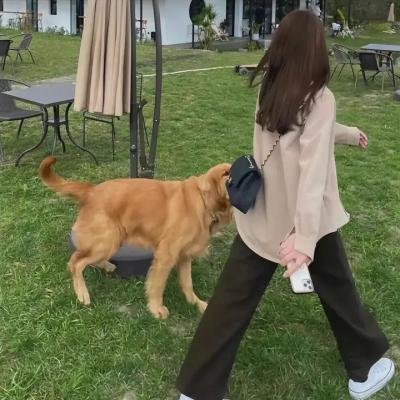 自闭儿之路